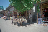 Urfa, street life 